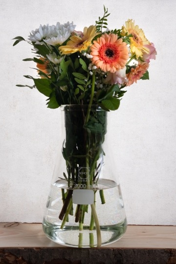 Dekoglas Bumenvase Premiumglas